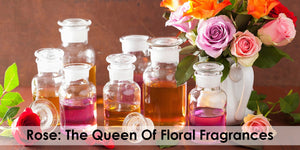 Rose: The Queen Of Floral Fragrances